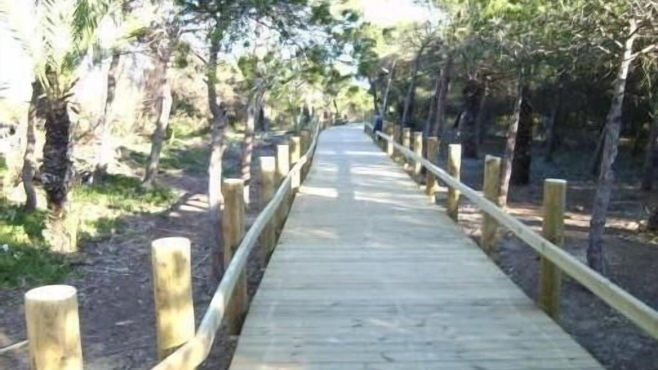 Photo of Outdoor in Guardamar del Segura