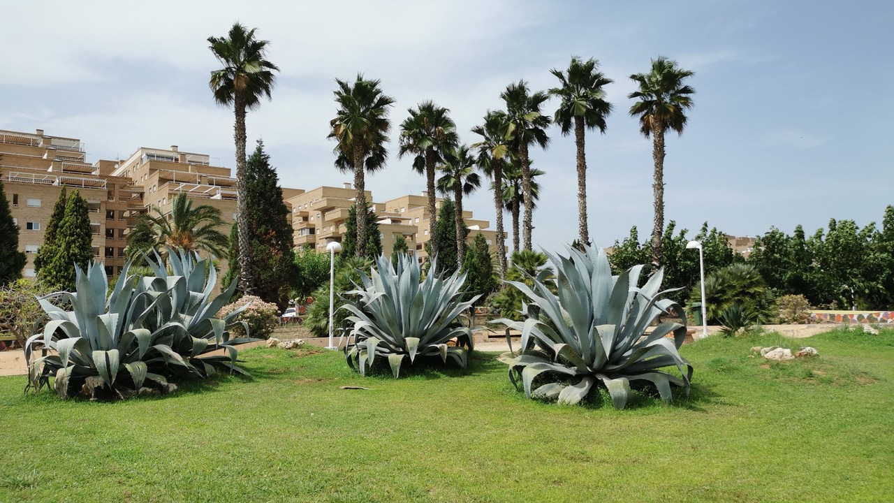 Photo of Outdoor in Marina d'Or