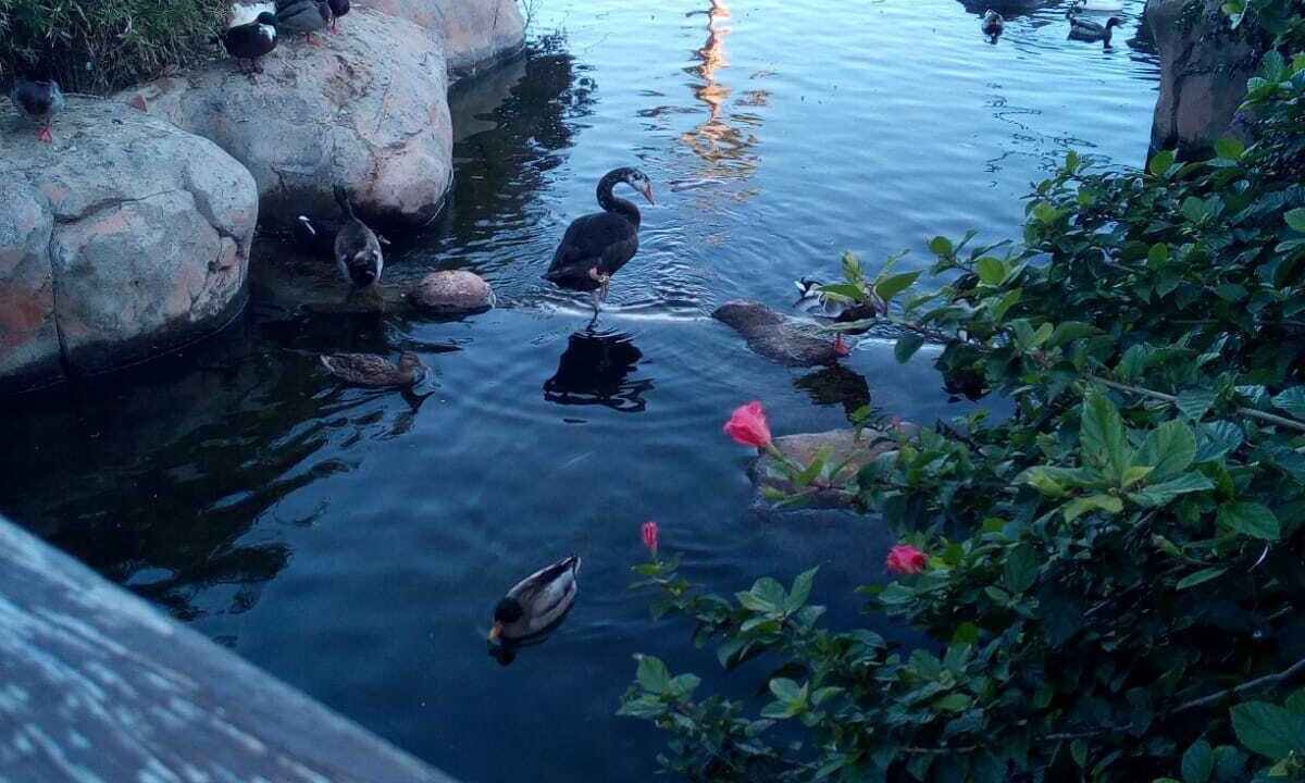 Photo of Outdoor in Marina d'Or