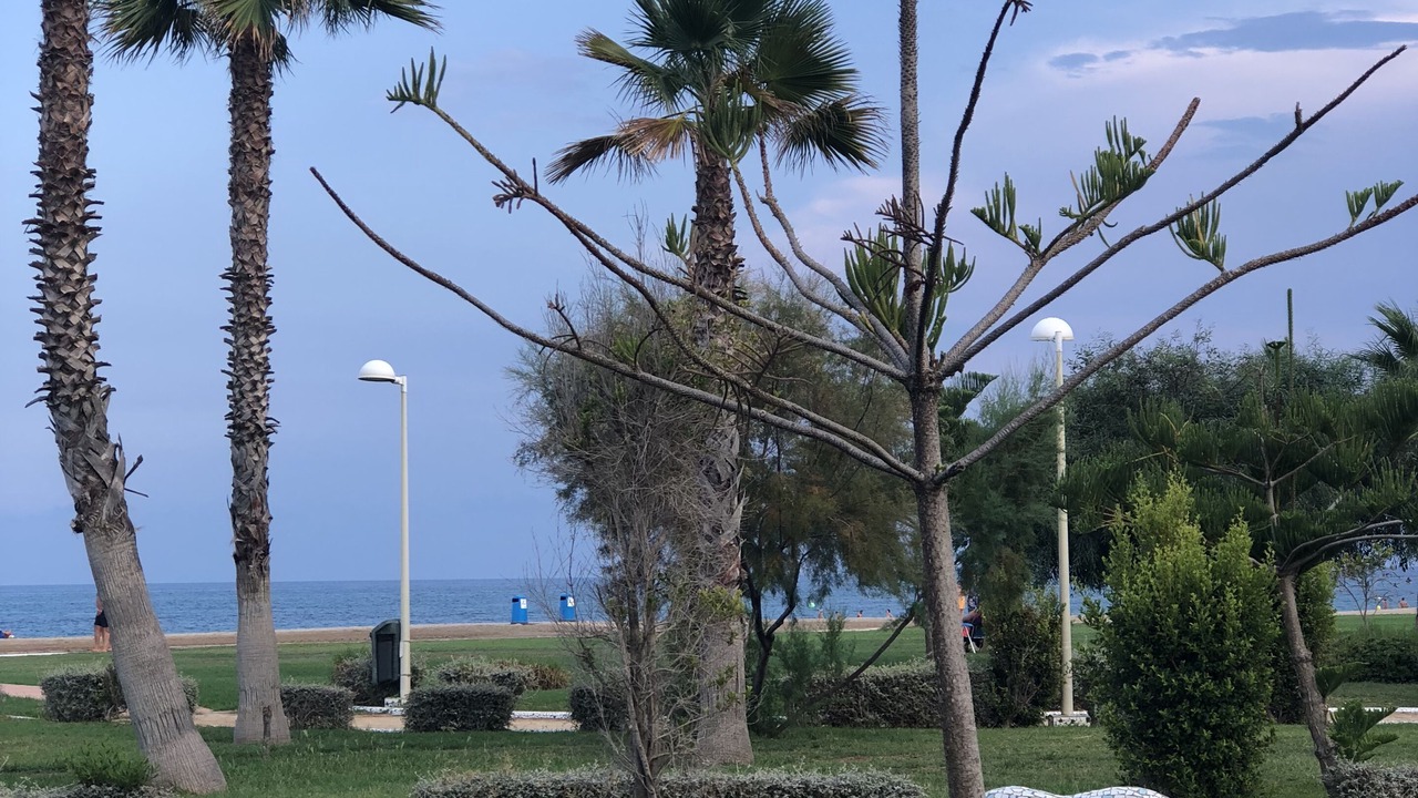 Photo of Outdoor in Marina d'Or