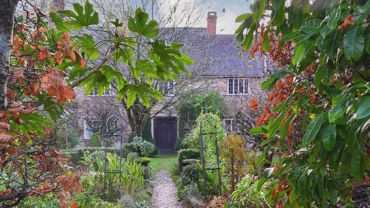 Photo of Outdoor in Dunster