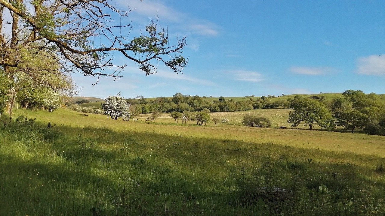 Photo of Others in Tregaron