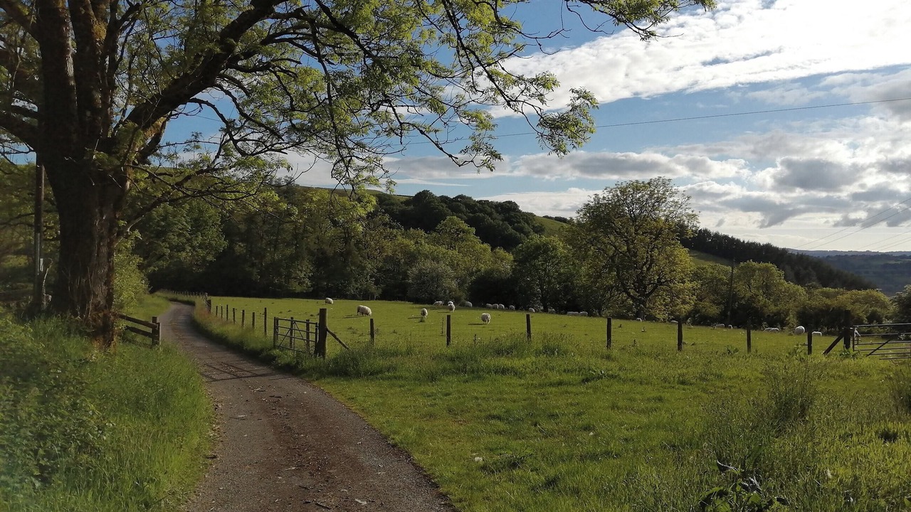 Photo of Others in Tregaron