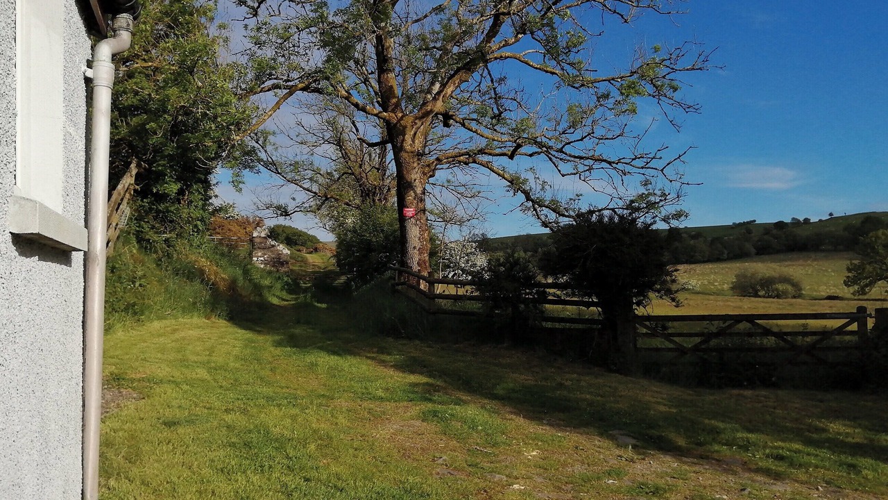 Photo of Others in Tregaron