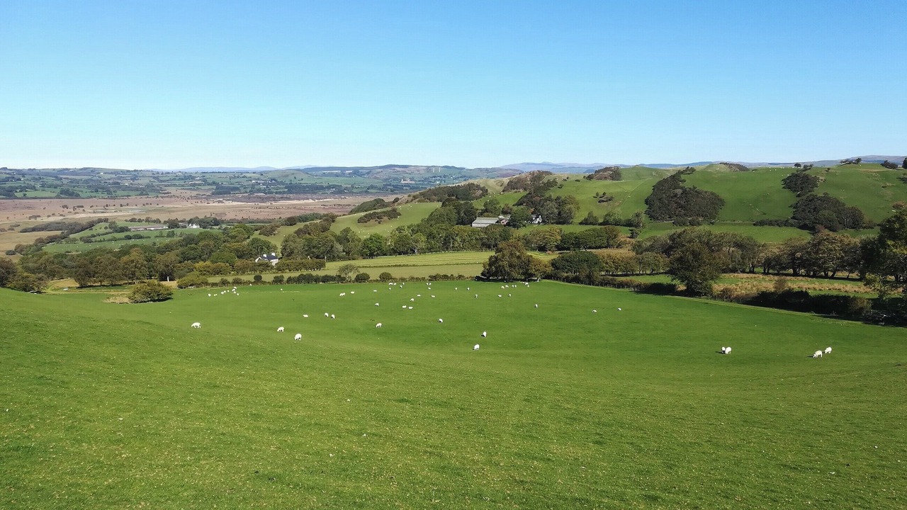 Photo of Others in Tregaron