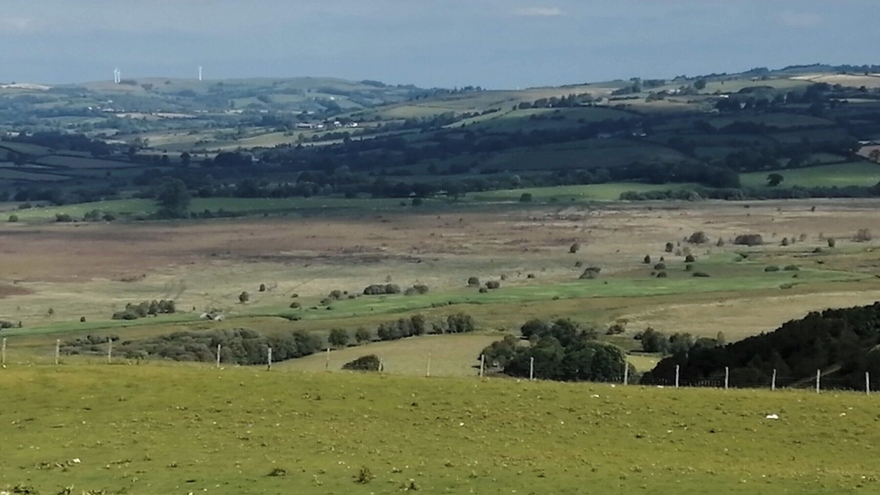 Photo of Others in Tregaron