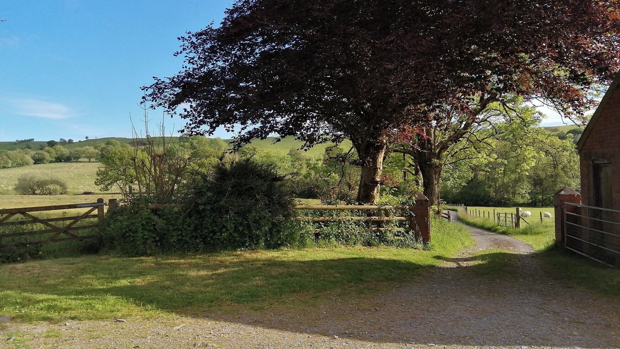 Photo of Others in Tregaron