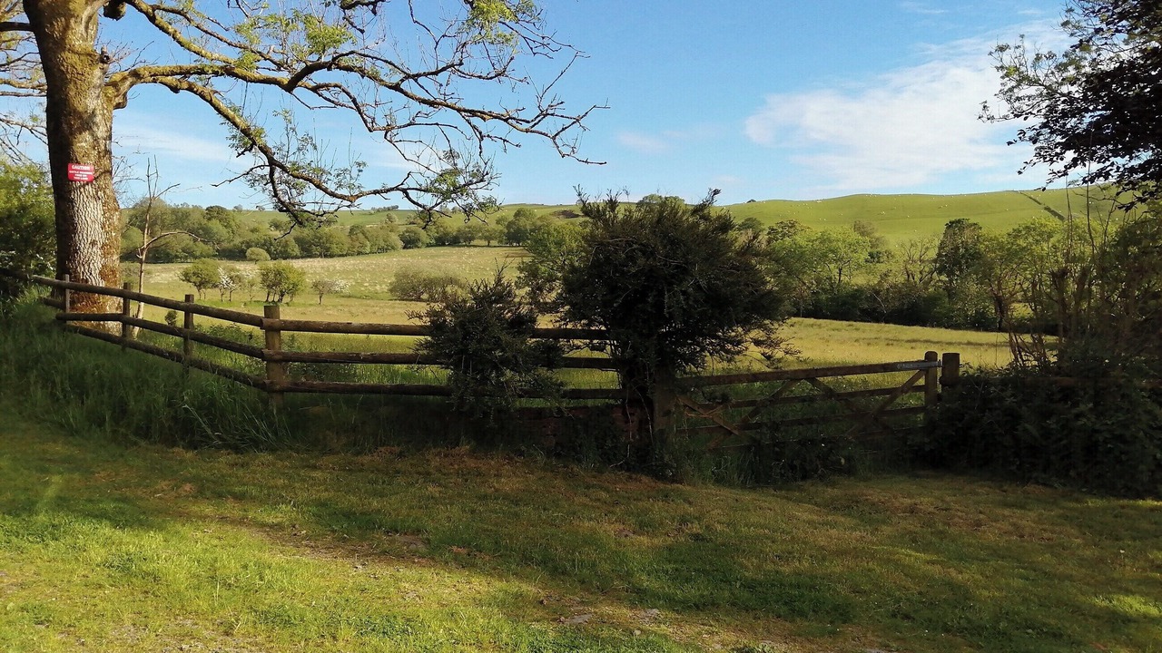 Photo of Others in Tregaron