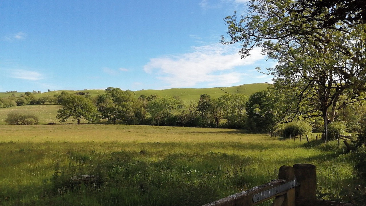 Photo of Others in Tregaron