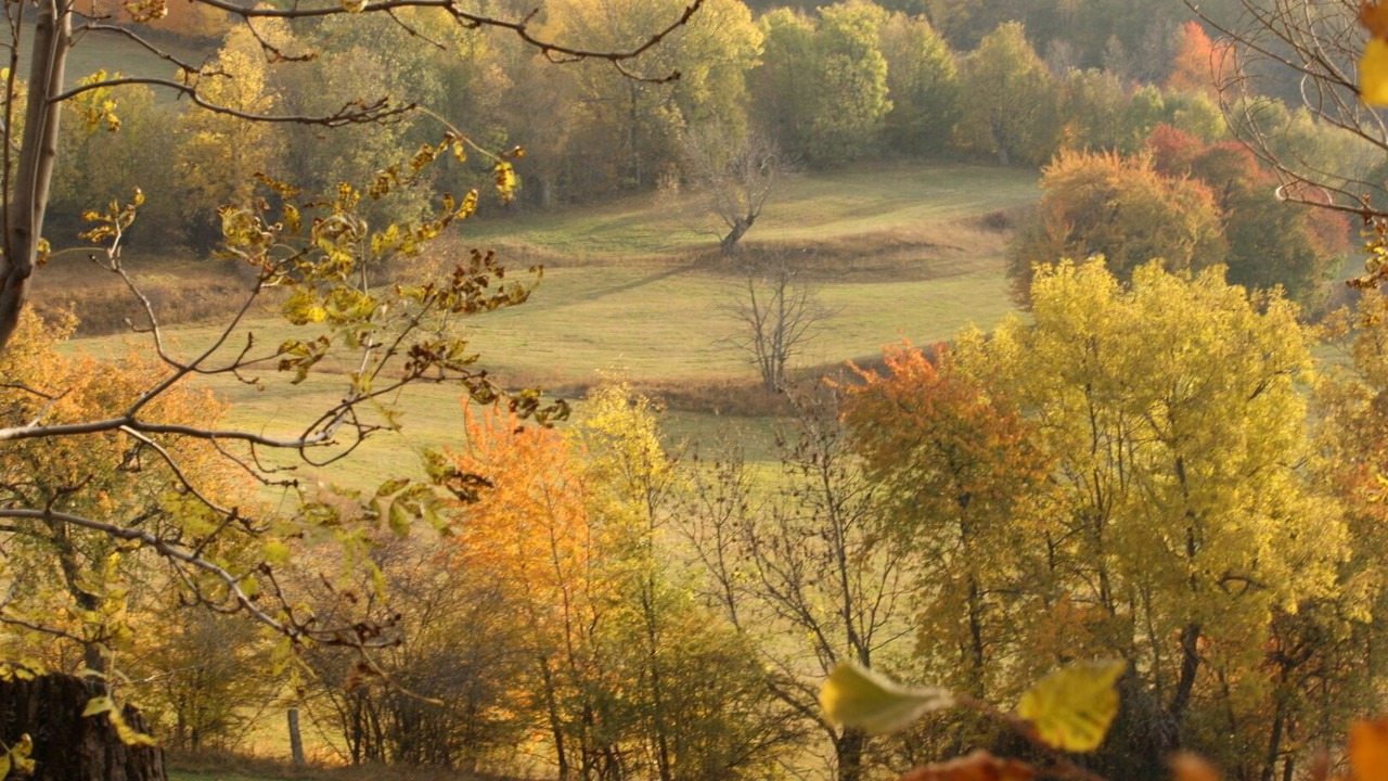 Photo of Outdoor in Estavar
