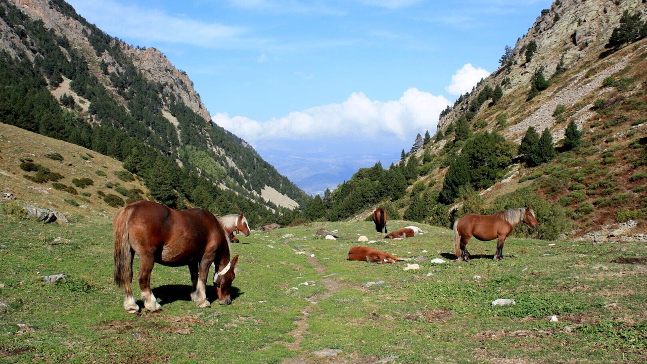 Photo of Outdoor in Estavar