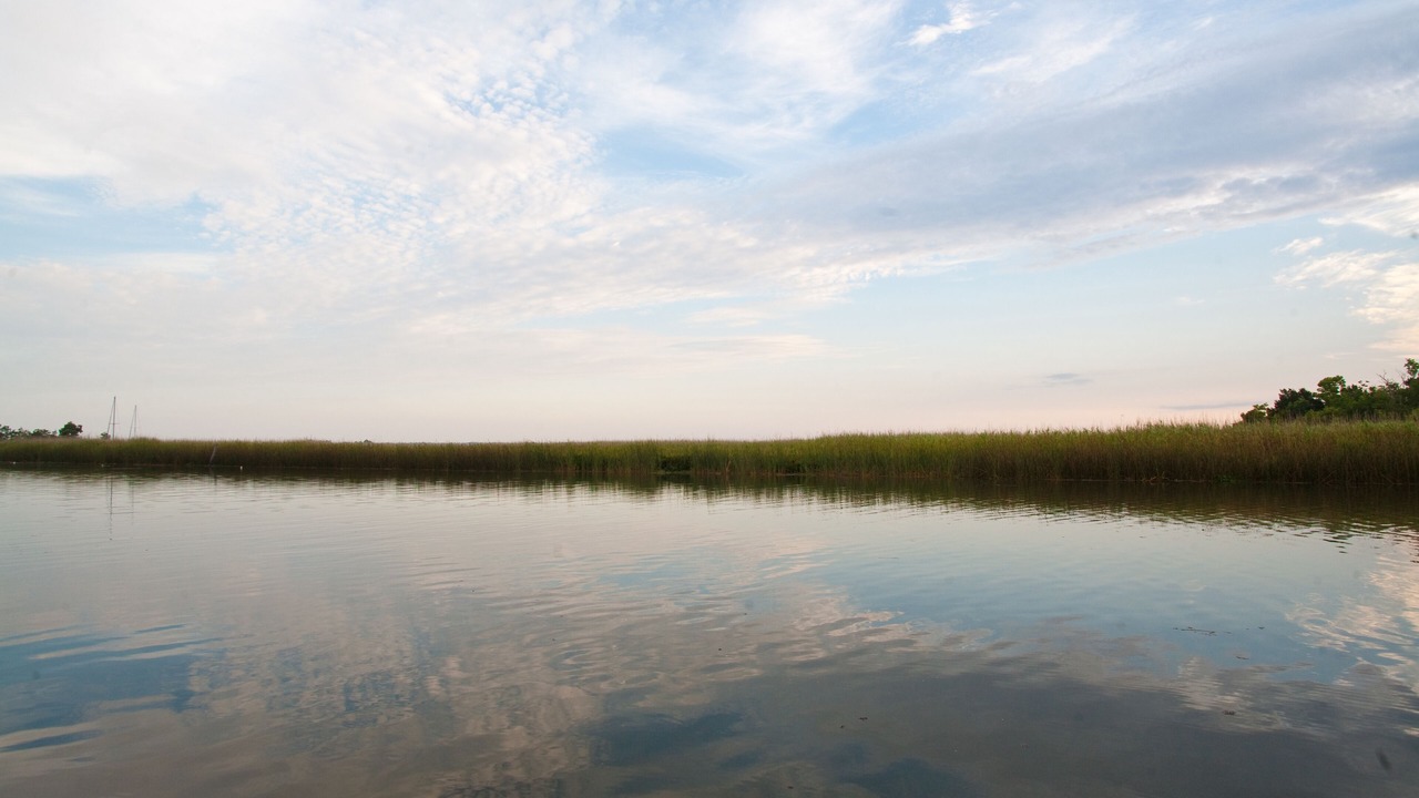 Photo of Outdoor in Historic Downtown Apalachicola