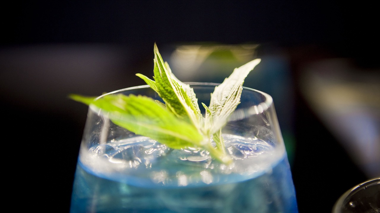 Photo of Others in Mount Panorama