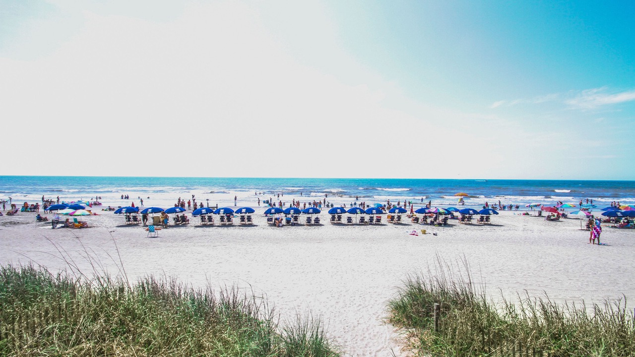 Photo of Others in Crescent Beach