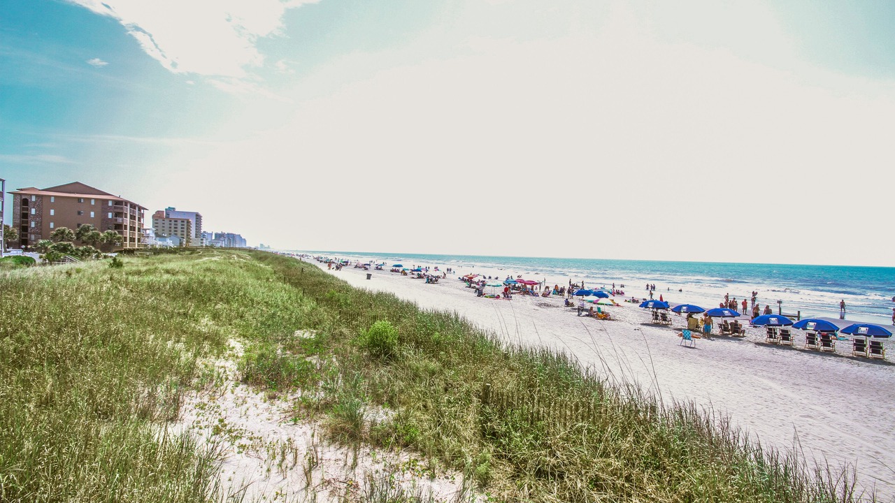 Photo of Others in Crescent Beach