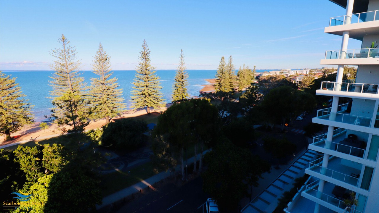 Photo of Others in Scarborough