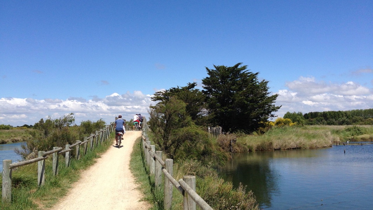 Photo of Outdoor in Les Sables d'Olonne