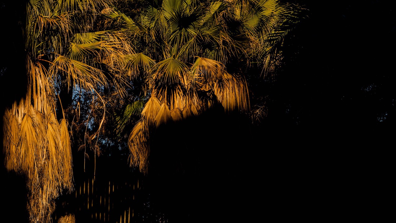 Photo of Outdoor in El Moncayo