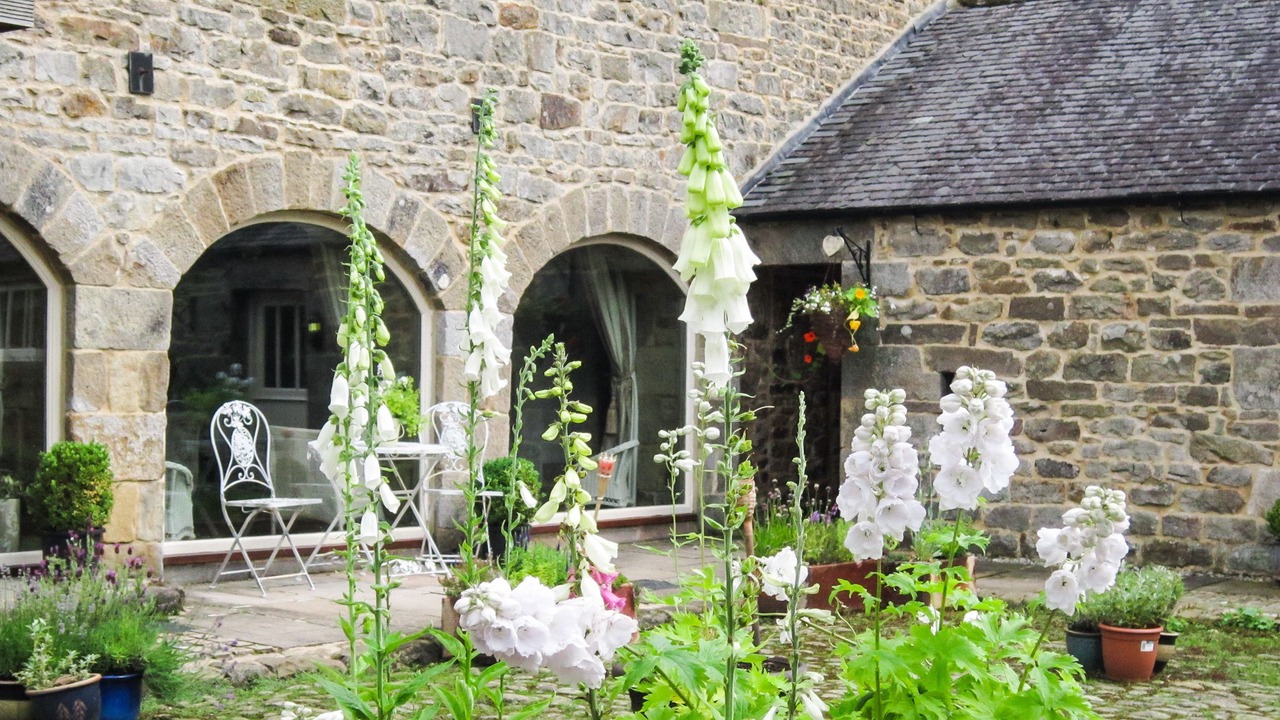 Photo of Outdoor in Falstone