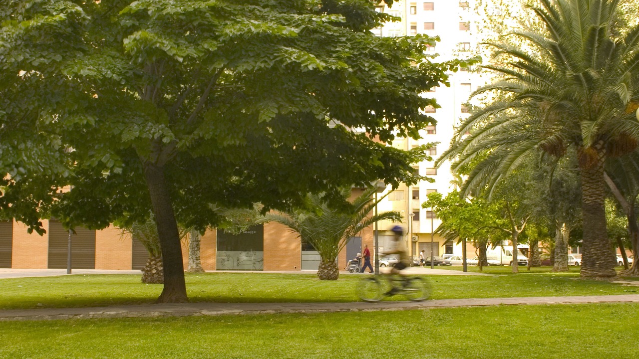 Photo of Outdoor in Campanar