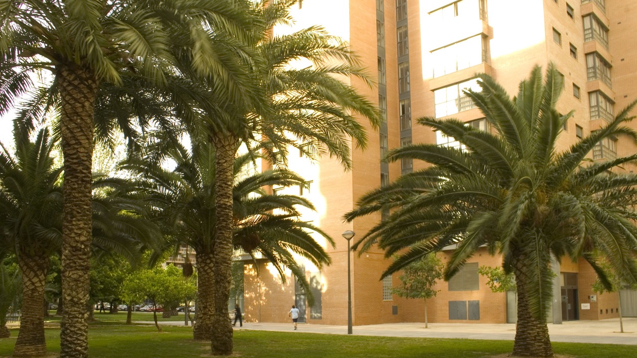 Photo of Outdoor in Campanar