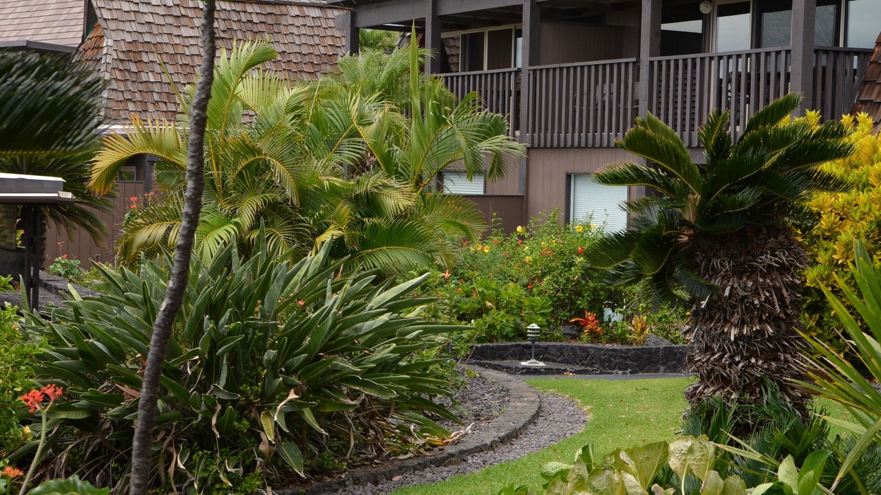 Photo of Outdoor in Punaluu