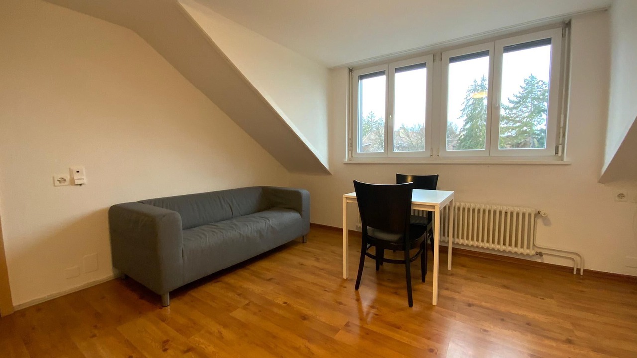 Photo of Livingroom in Hottingen