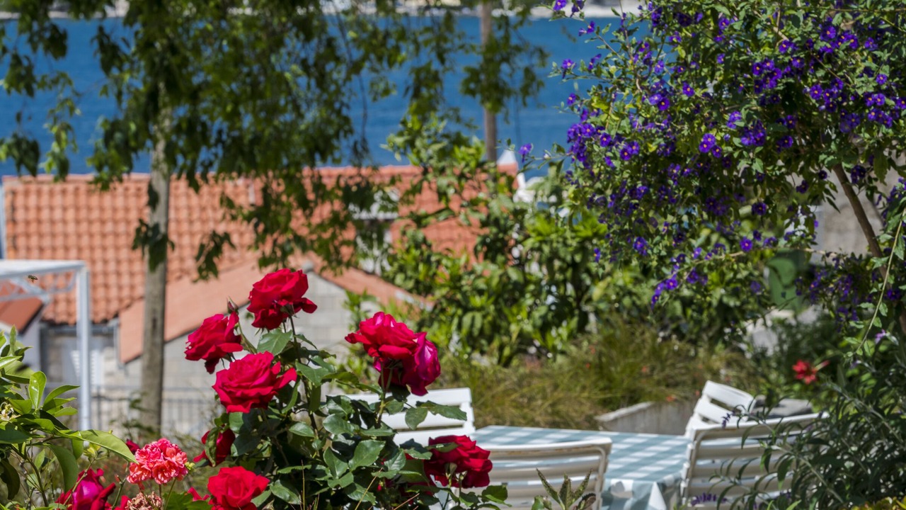 Photo of Patio Balcony in Stikovica