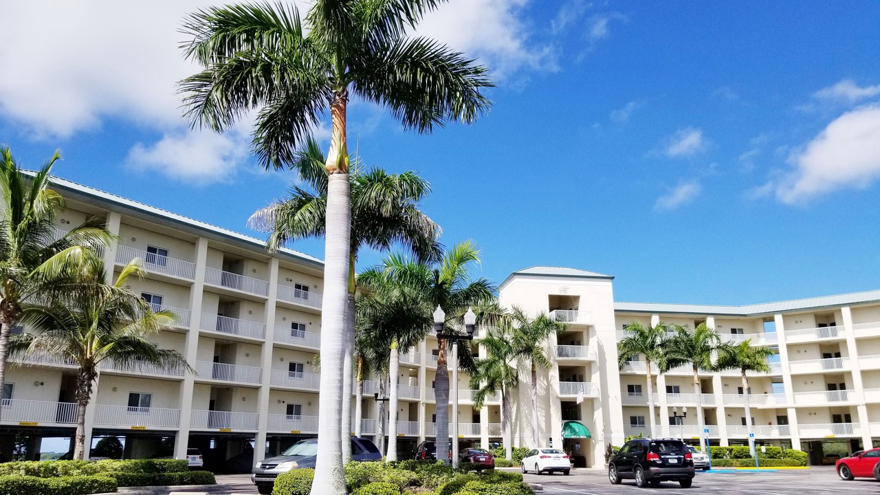 Photo of Outdoor in St. Petersburg - Clearwater