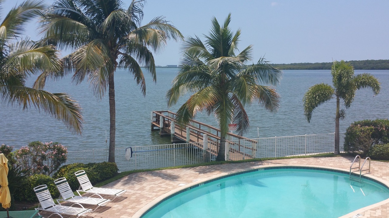 Photo of Outdoor in St. Petersburg - Clearwater