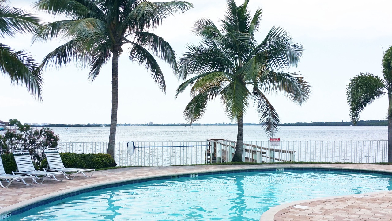 Photo of Outdoor in St. Petersburg - Clearwater