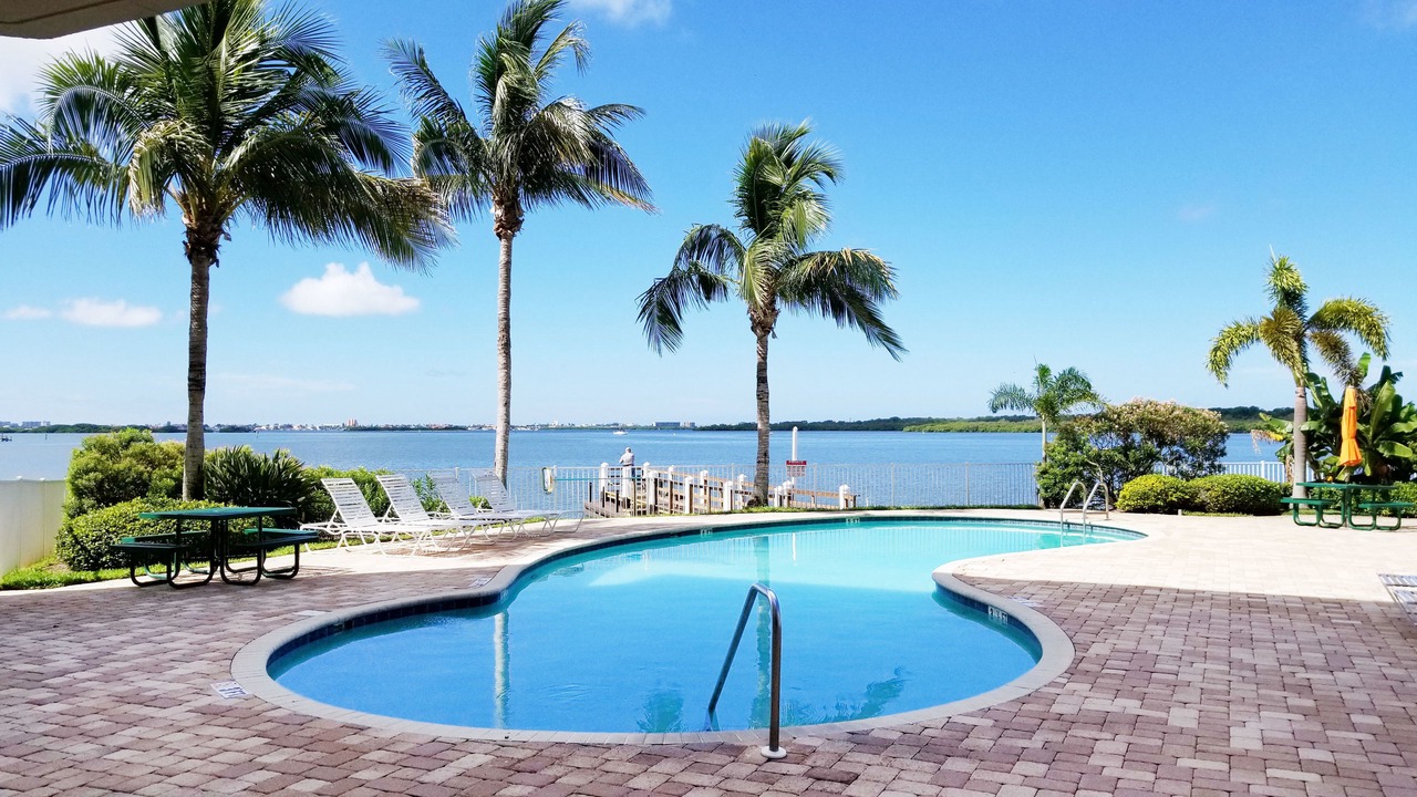 Photo of Outdoor in St. Petersburg - Clearwater