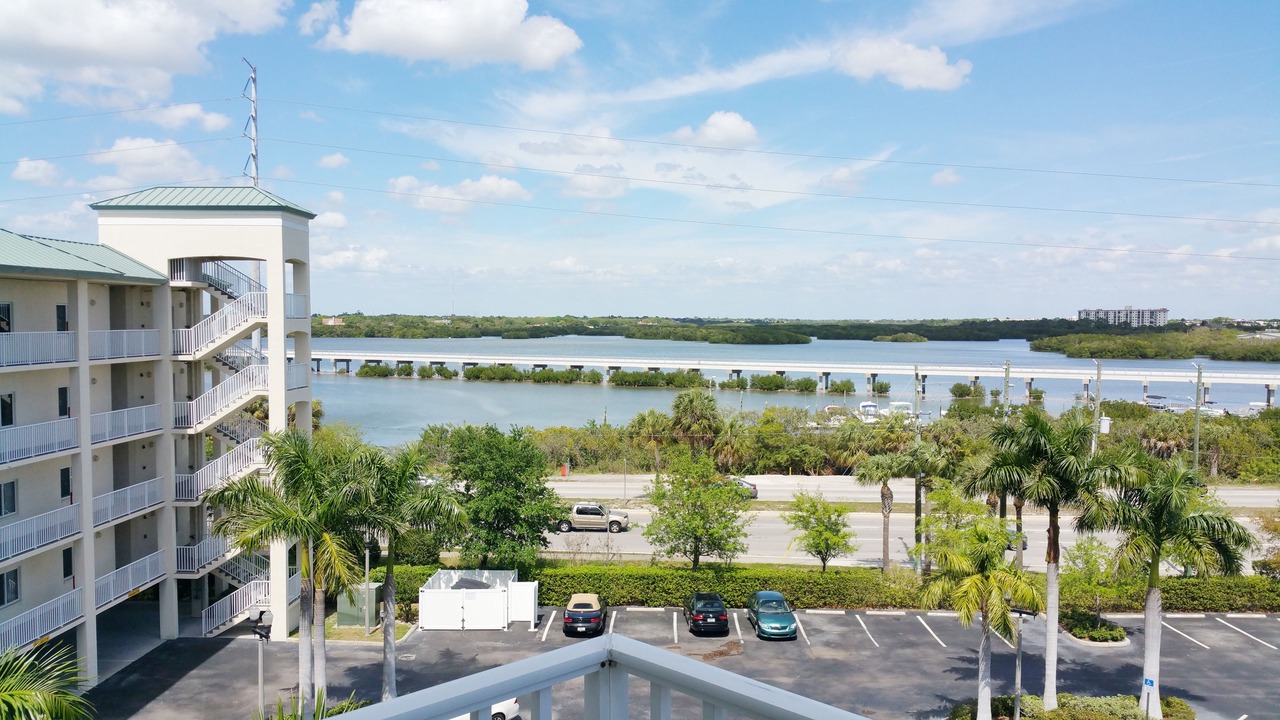 Photo of Outdoor in St. Petersburg - Clearwater