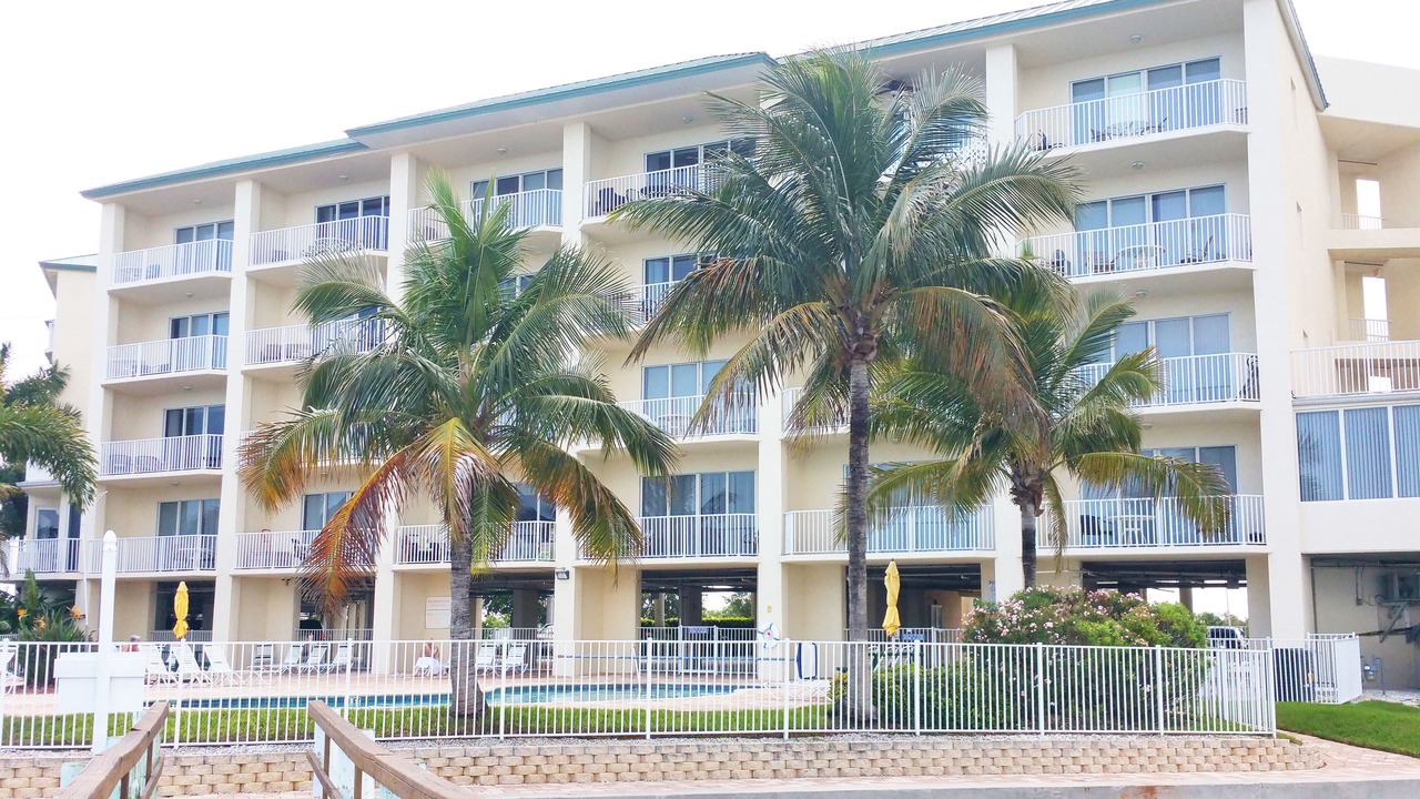 Photo of Outdoor in St. Petersburg - Clearwater