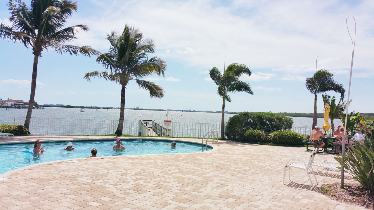 Photo of Outdoor in St. Petersburg - Clearwater