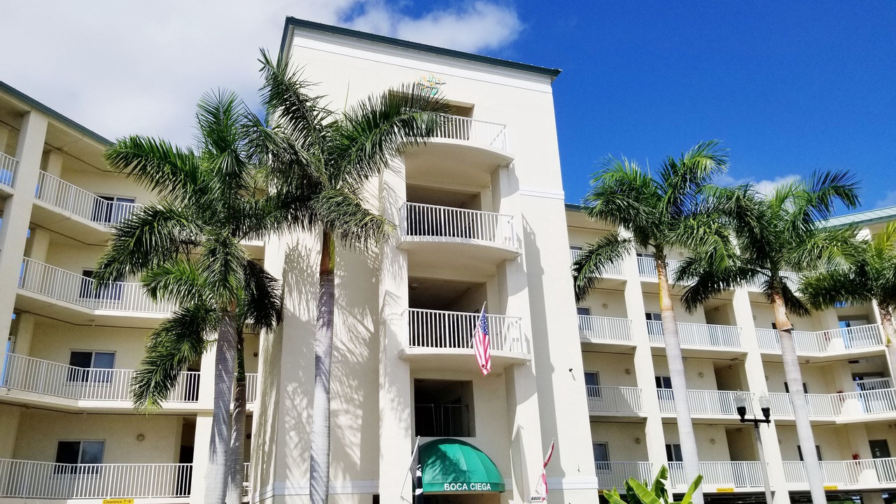 Photo of Outdoor in St. Petersburg - Clearwater