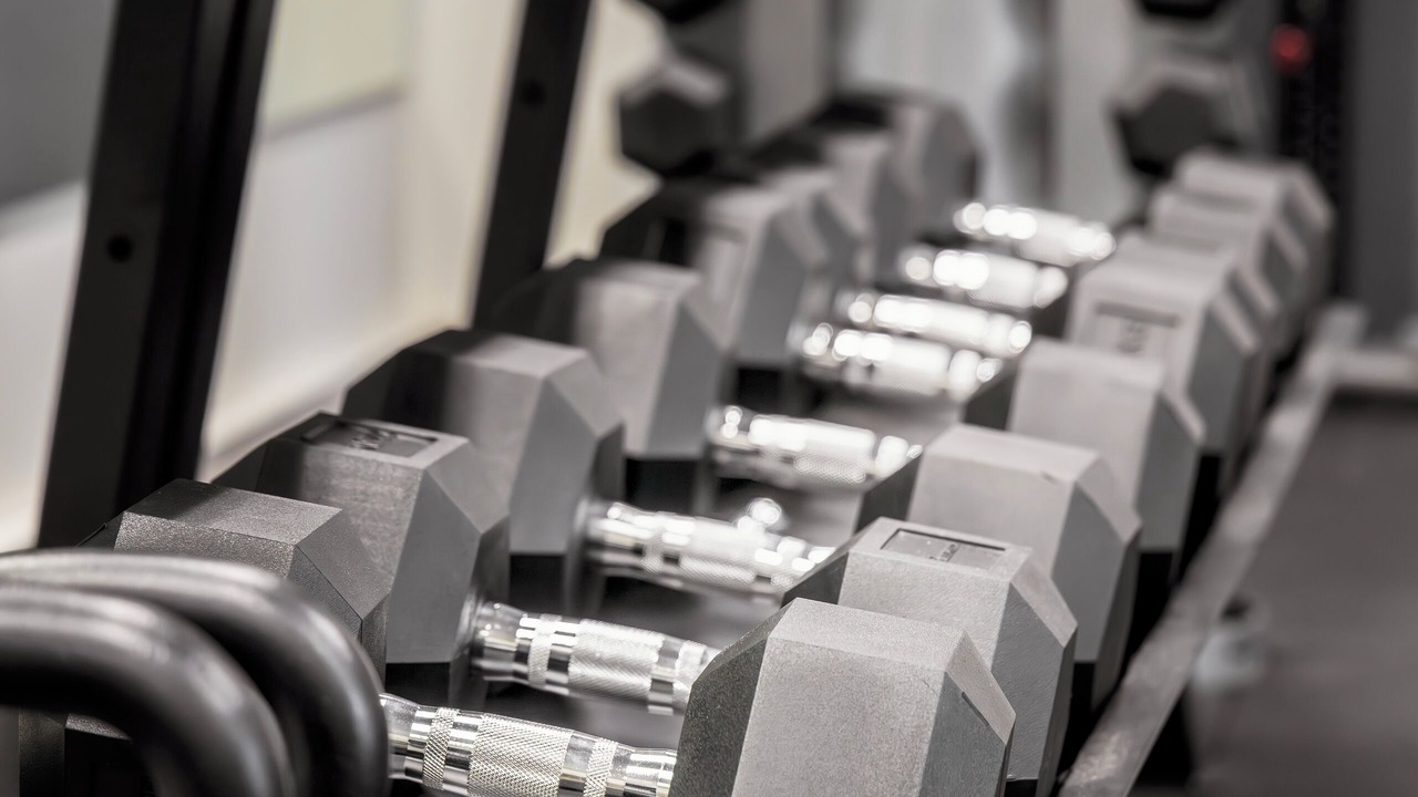 Photo of Others in Mawson Lakes