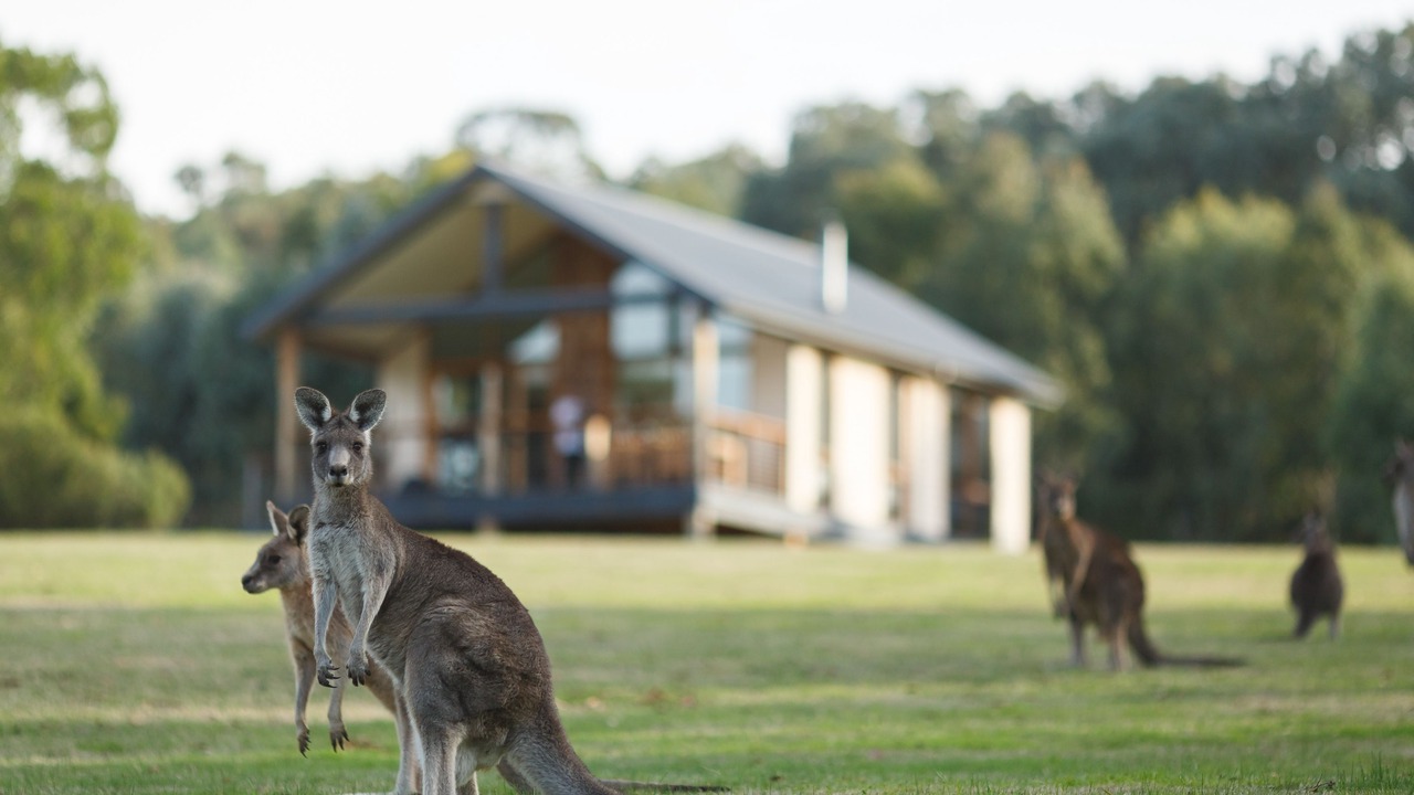 Photo of Outdoor in Yering