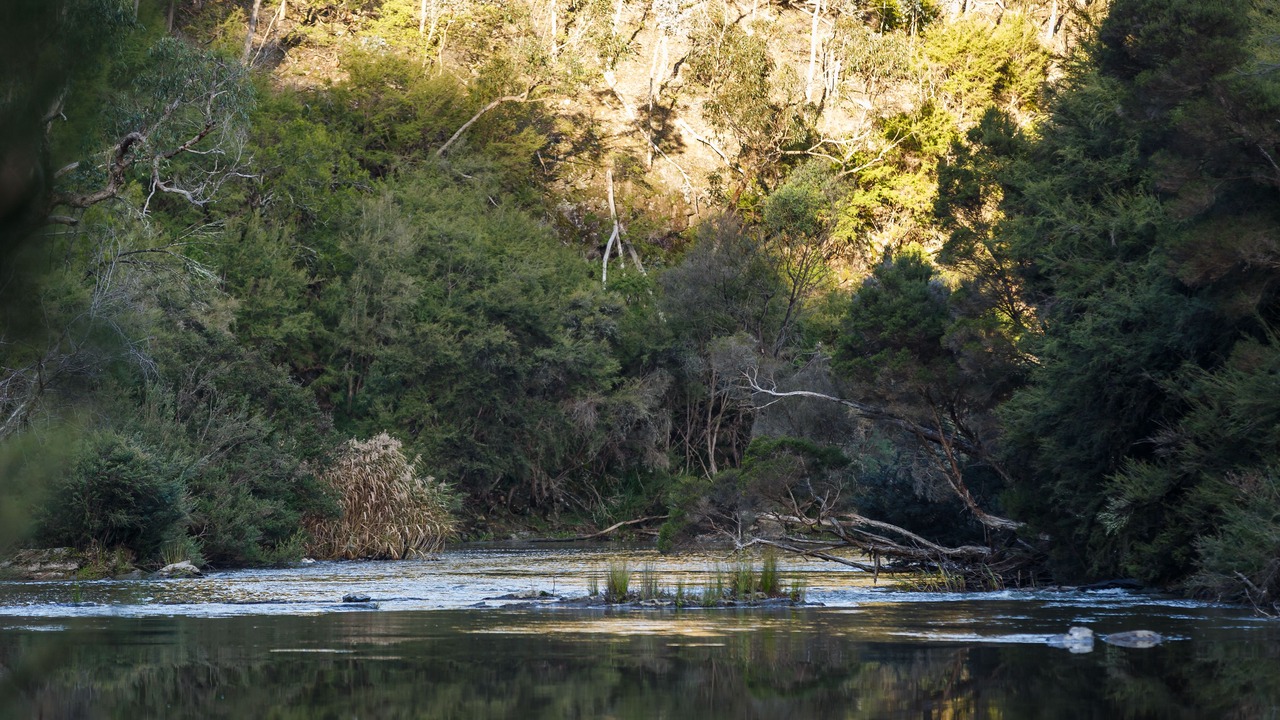 Photo of Outdoor in Yering