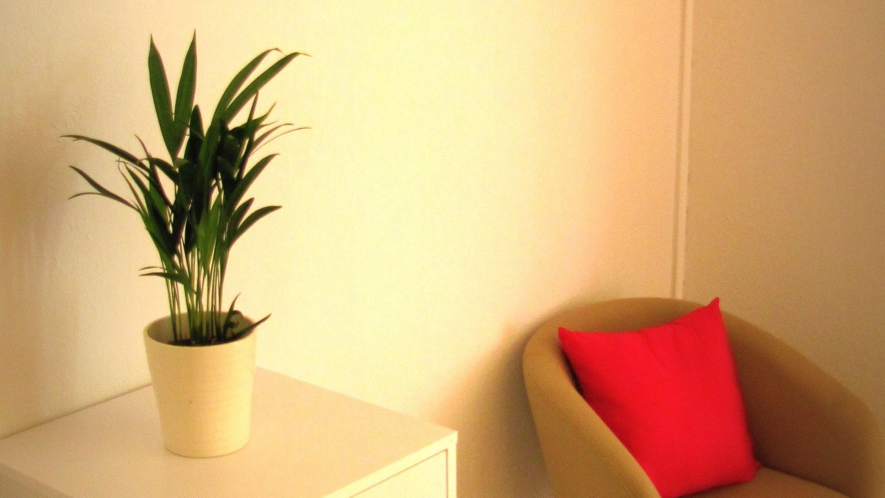 Photo of Livingroom in L'Ile-Rousse