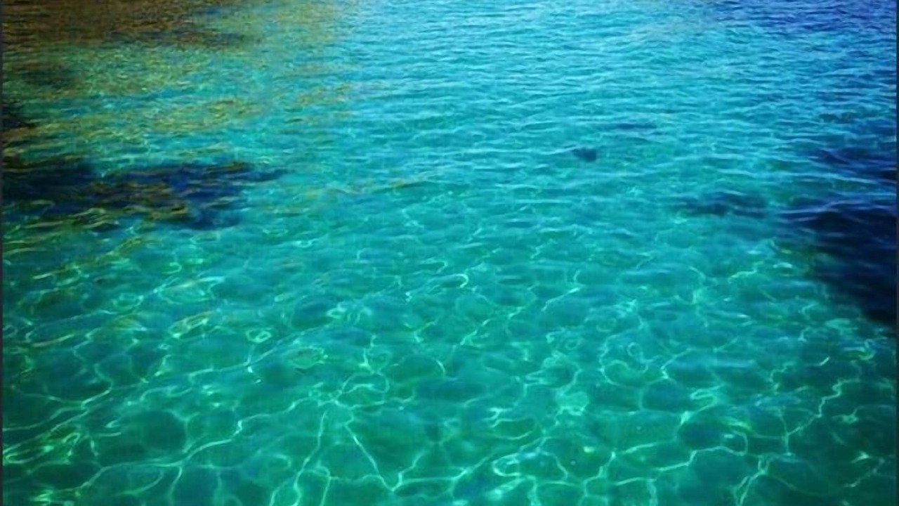 Photo of Others in Second Valley