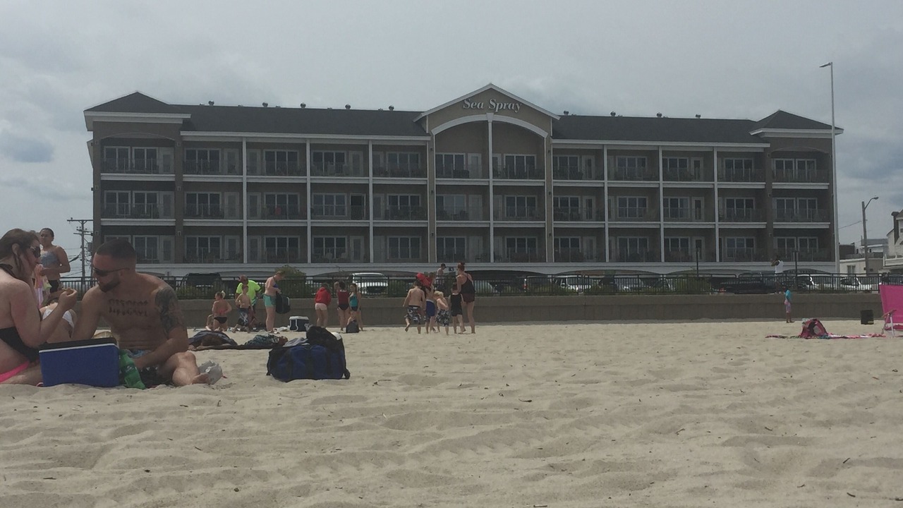 Photo of Others in Hampton