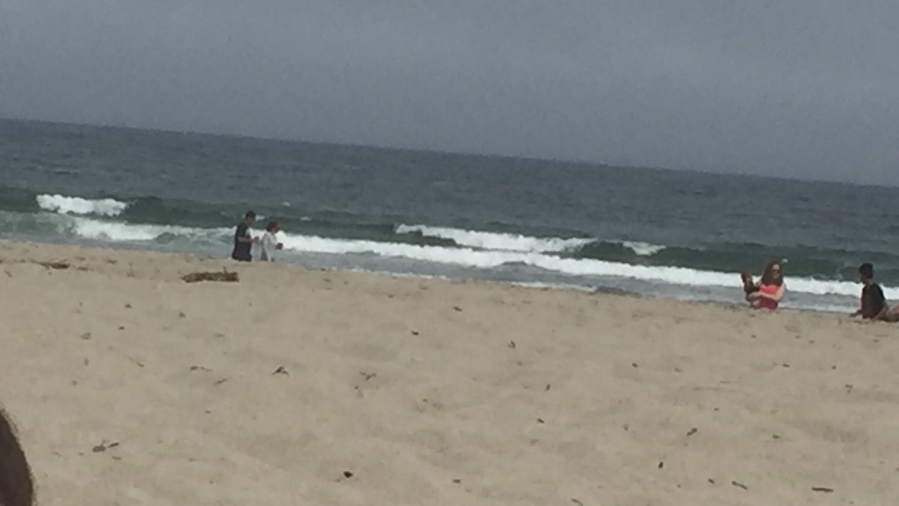 Photo of Others in Hampton