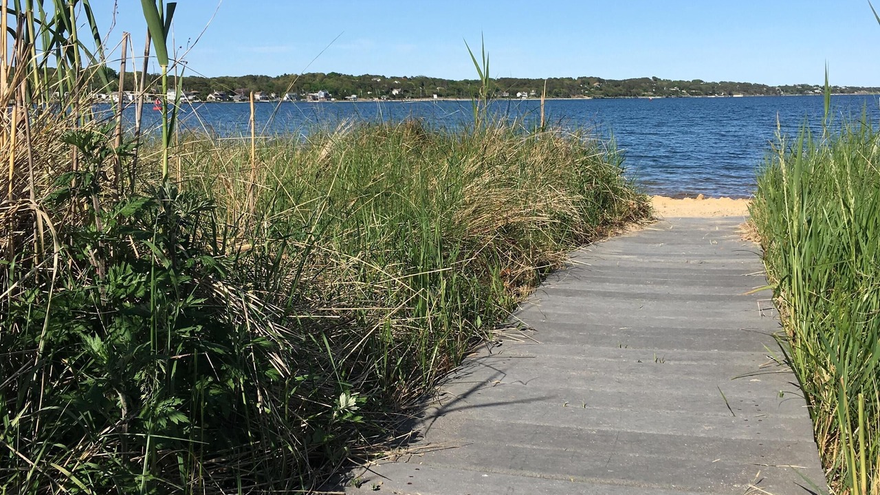 Photo of Others in Town of Southampton