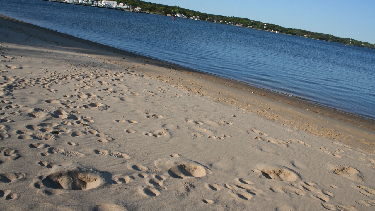 Photo of Others in Town of Southampton