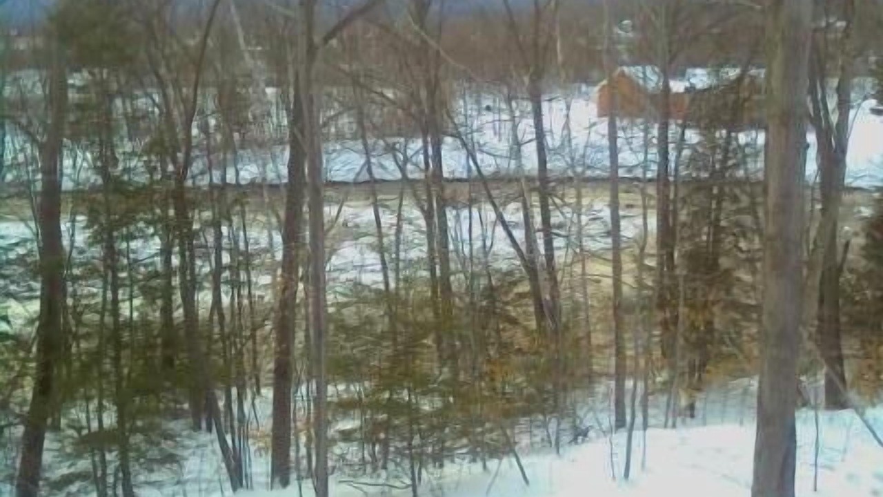 Photo of Others in Lincoln