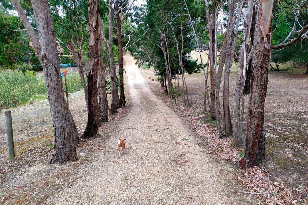 Photo of Others in Bellbrae