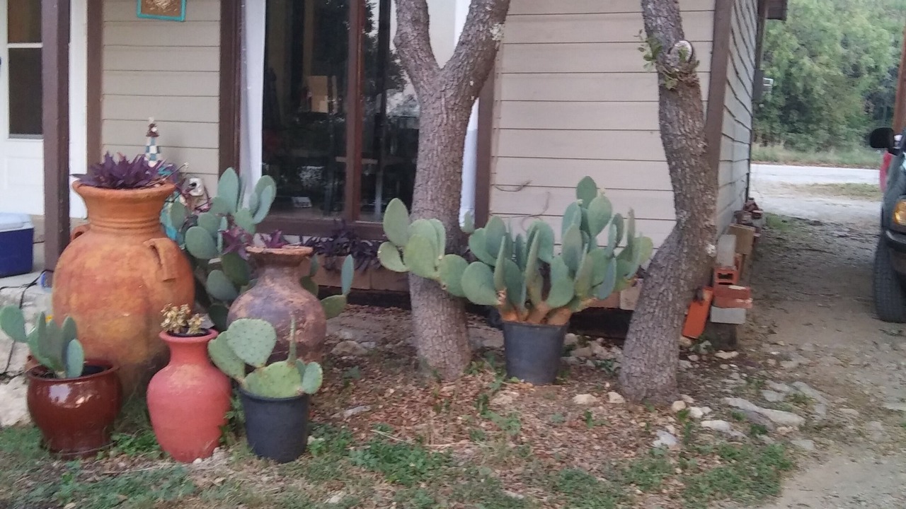 Photo of Outdoor in Lake Brownwood