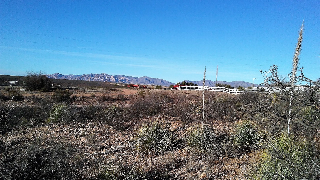 Photo of Others in Holiday Ranch Estates