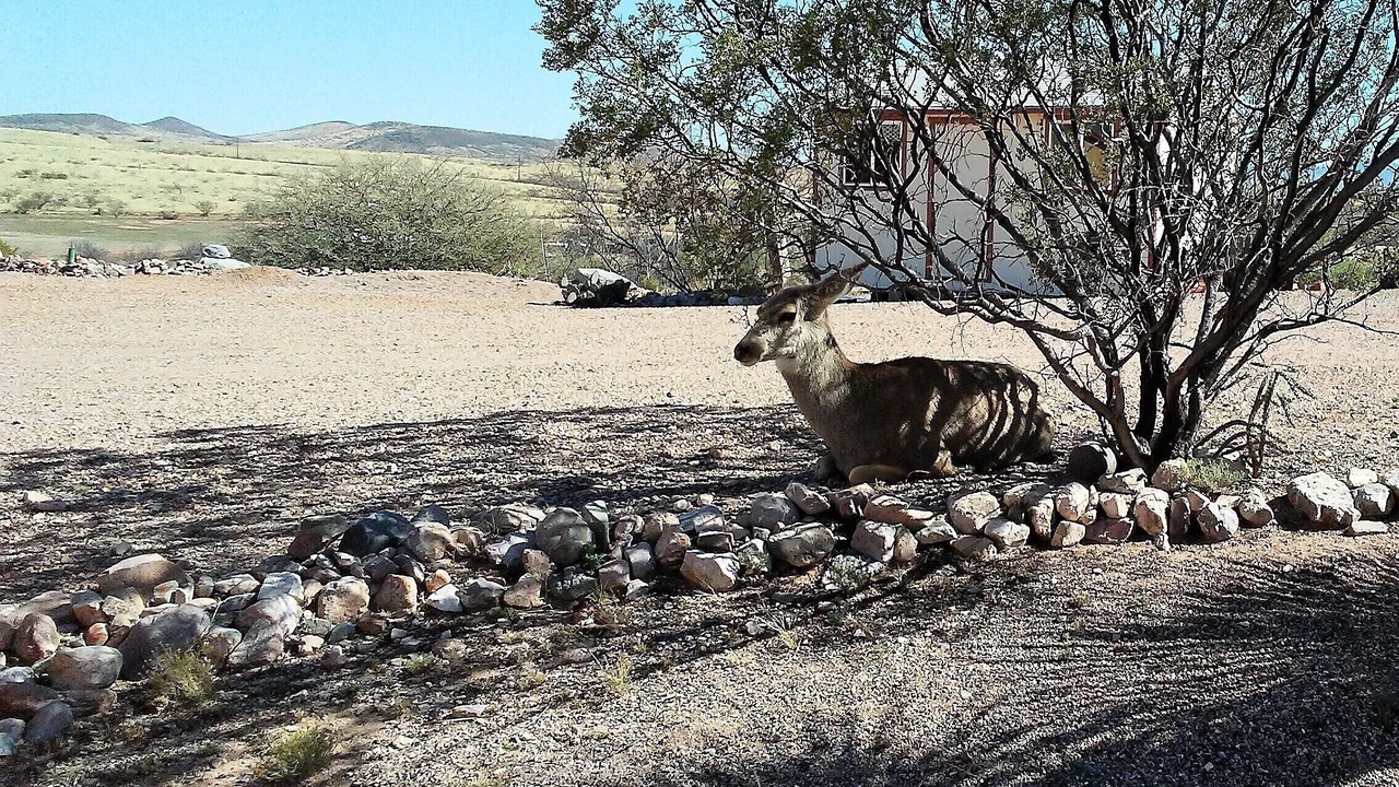 Photo of Outdoor in Holiday Ranch Estates